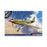 USAAF P-51 "North Africa" (1:48)