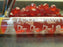 Food Pawn Jelly Polyhedral  Dice - Die Die Die!