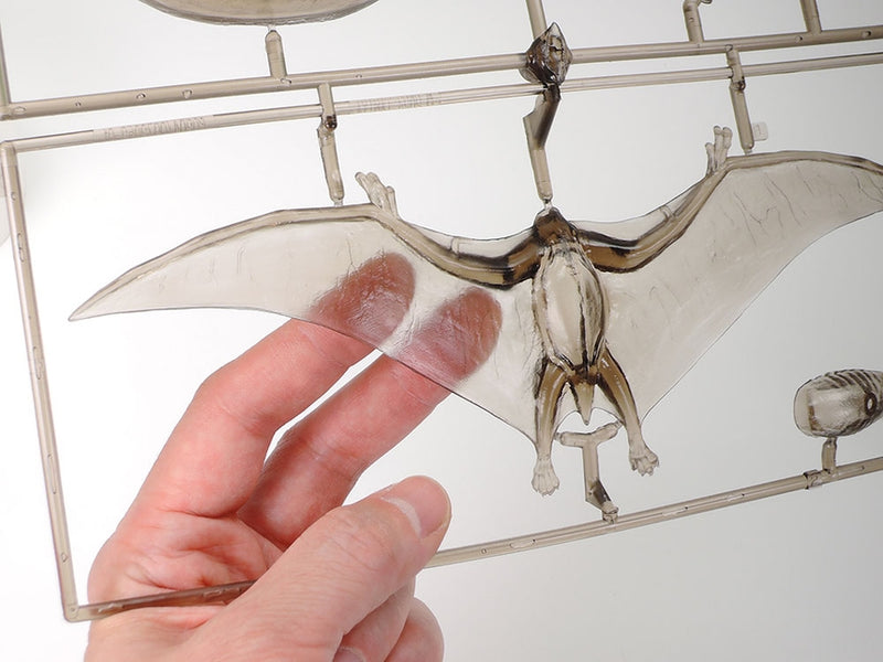 Pteranodon 1/35