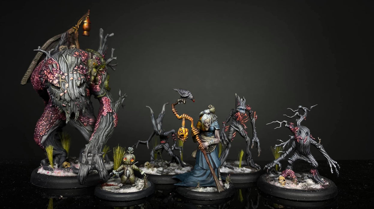 Malifaux 3rd Edition: Zoraida Core Box