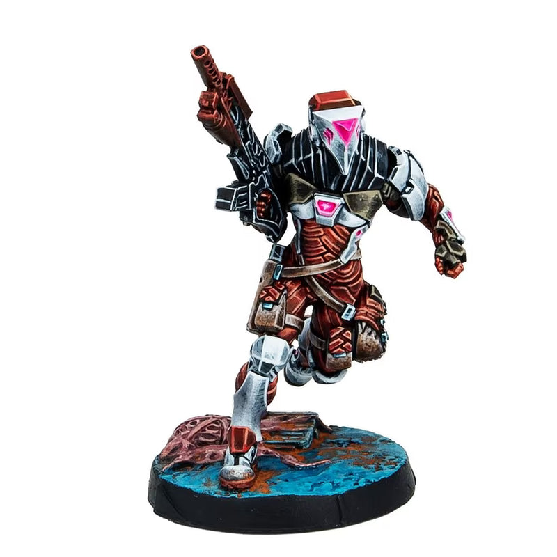Stingers, Security Tactical Unit