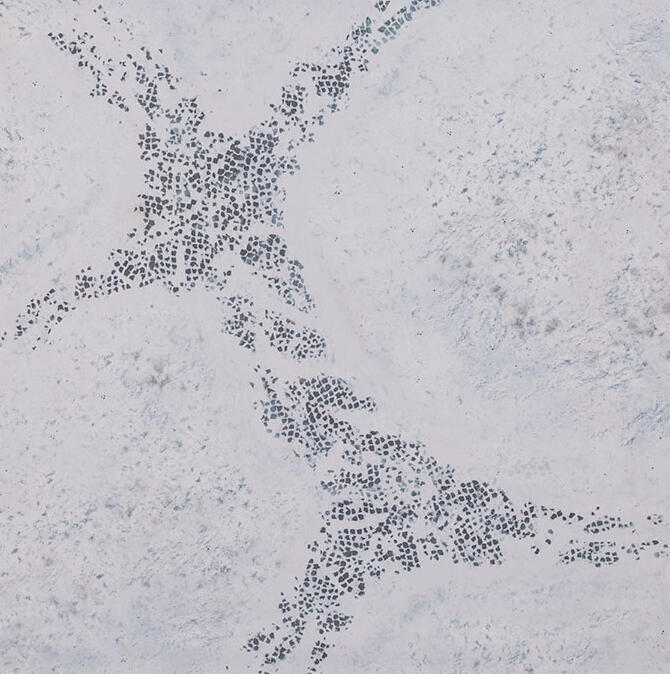Winter Realm 3'x3'