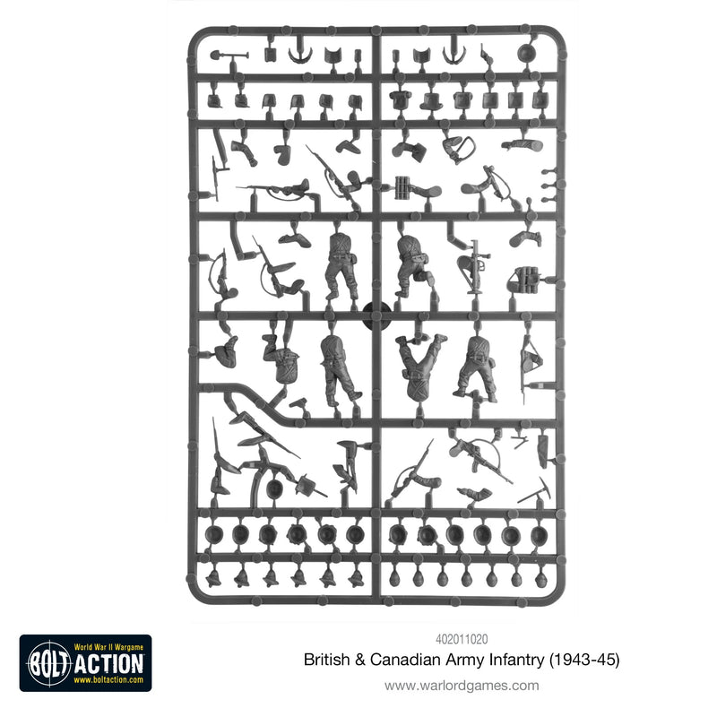British & Canadian Infantry (1943-45)