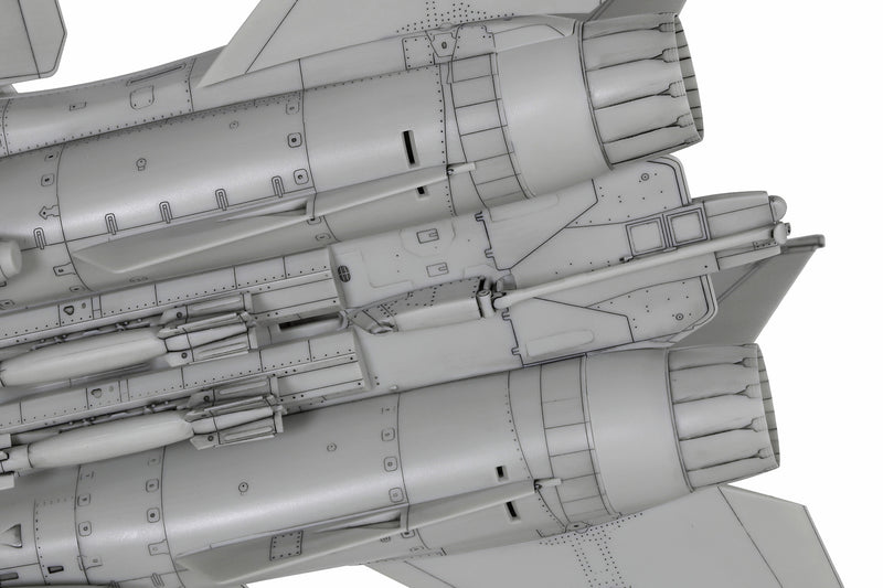 Grumman F-14D Tomcat (1:72)