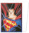 Dragon Shield - Brushed Art Sleeves - Standard Size - Superman