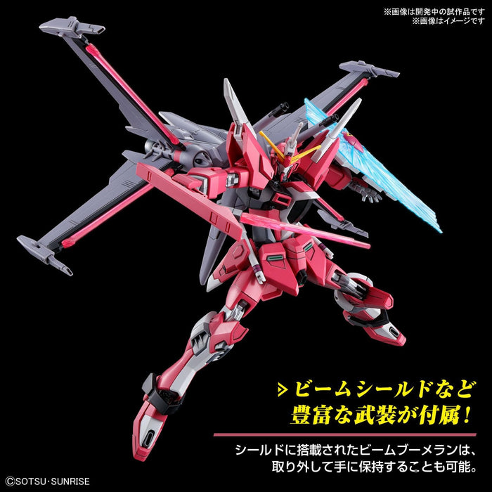 HGCE Infinite Justice Gundam Type II