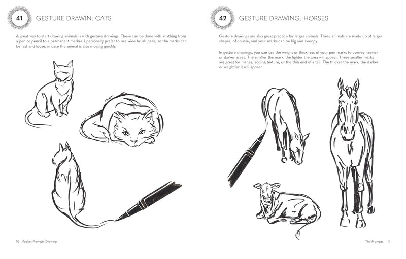 Pocket Prompts: Drawing