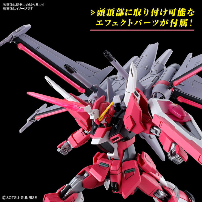 HGCE Infinite Justice Gundam Type II