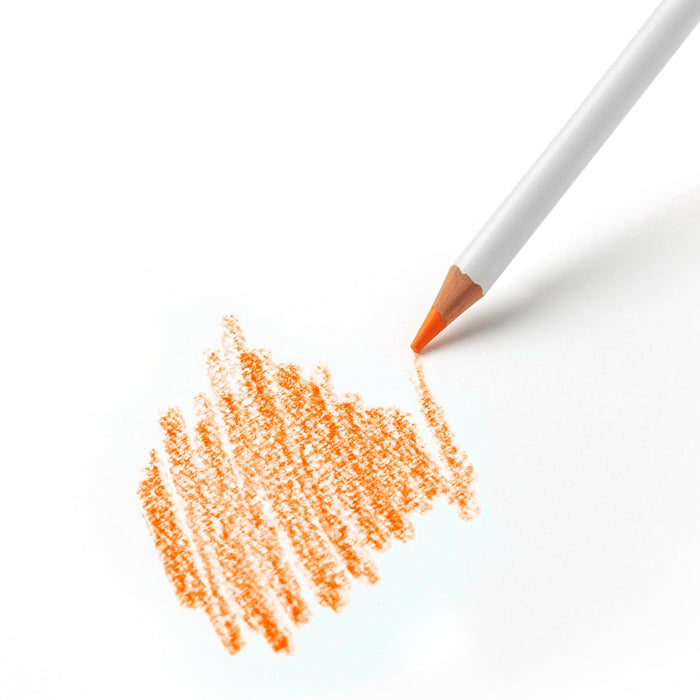 Winsor & Newton Colour Pencils x12 in Tin