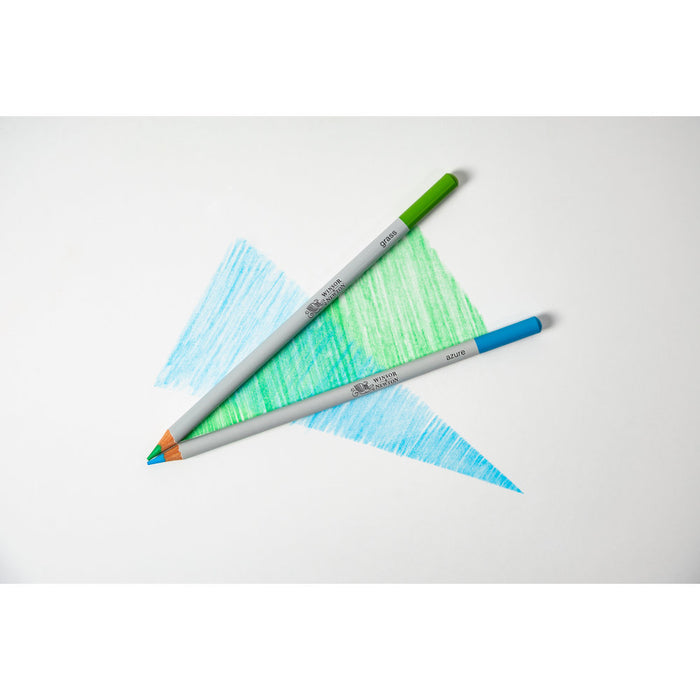 Winsor & Newton Colour Pencils x12 in Tin