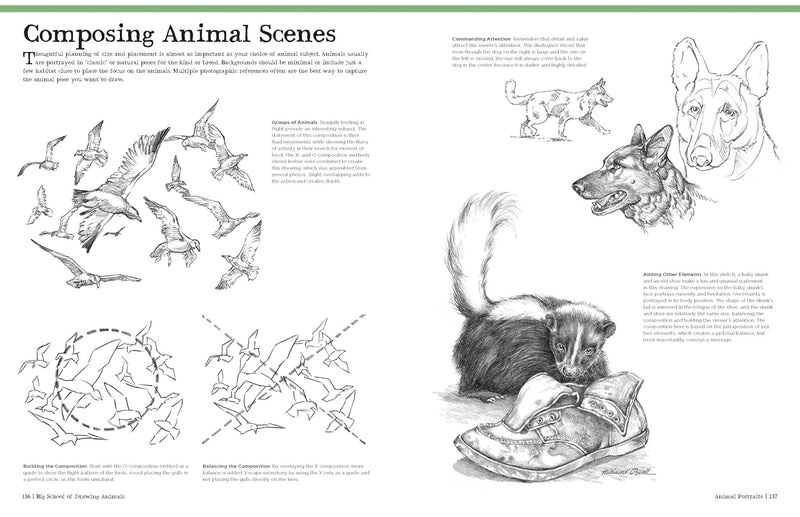 Big School of Drawing Animals