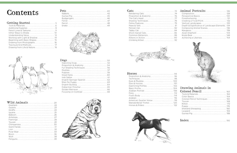 Big School of Drawing Animals