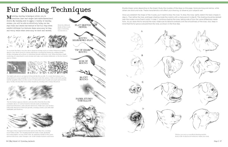 Big School of Drawing Animals