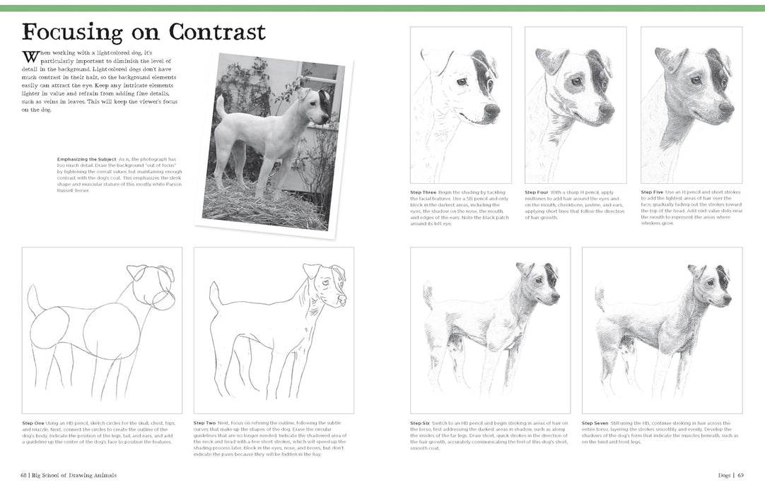 Big School of Drawing Animals