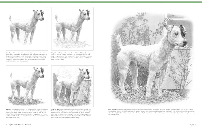 Big School of Drawing Animals