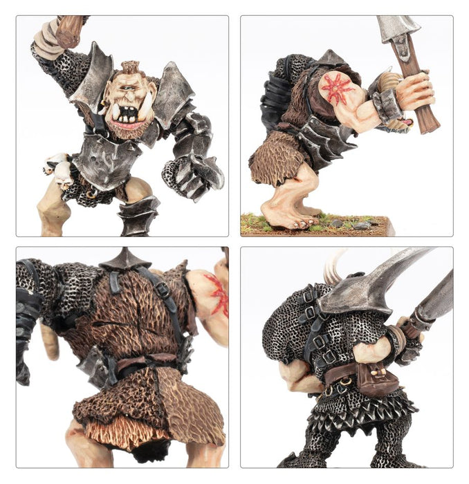 Chaos Ogres