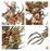 Battleforce: Sylvaneth - Strongroot Grove - Pre-Order