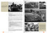 Vehicles of the Polish 1st Armoured Division - Camouflage Profile Guide