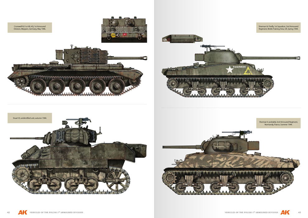 Vehicles of the Polish 1st Armoured Division - Camouflage Profile Guide