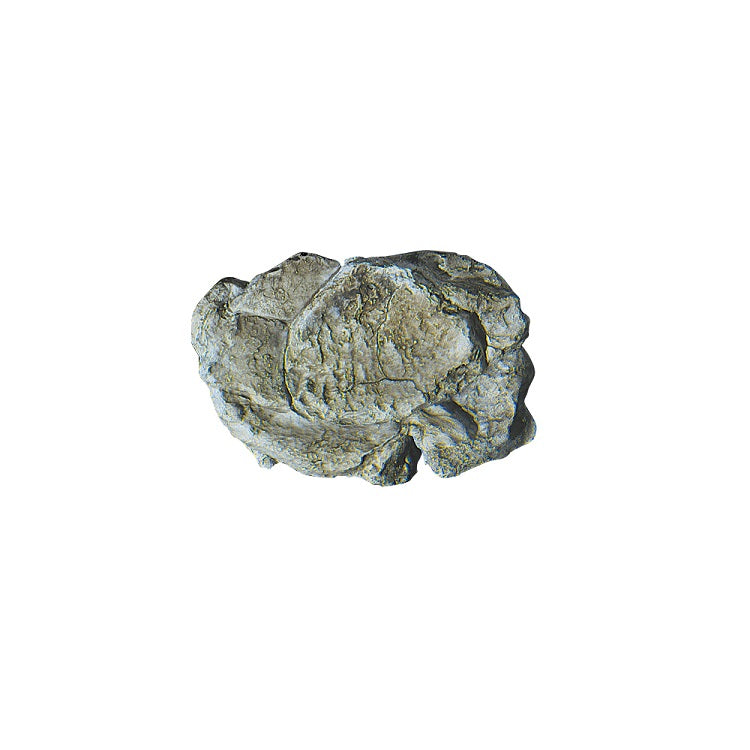 Wind Rock Mold (5"x7")