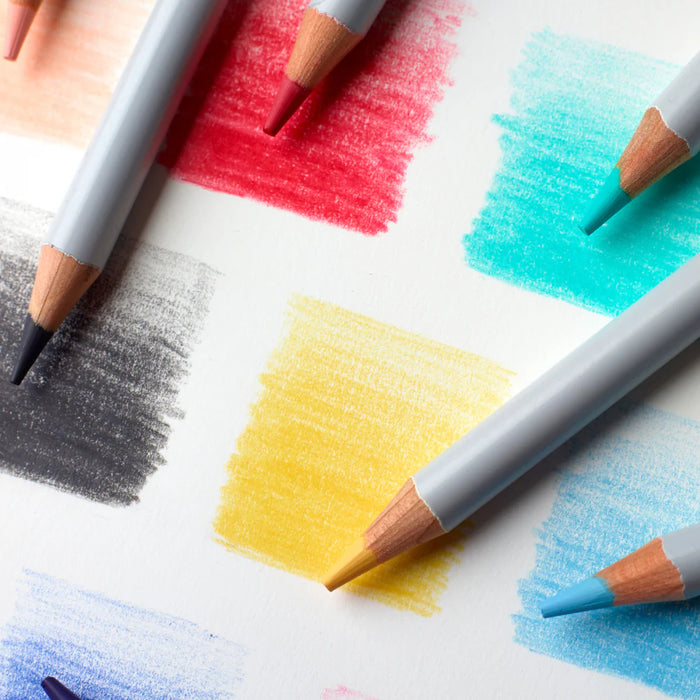 Winsor & Newton Colour Pencils x12 in Tin