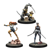 Echo, Ronin & Tigra