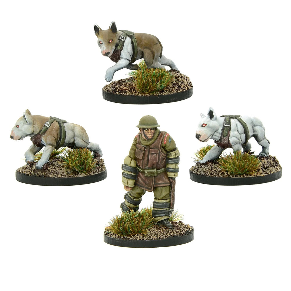 Konflikt '47 Cerberus Squad