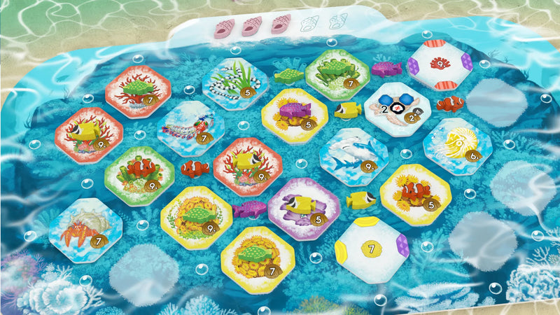 Shallow Sea