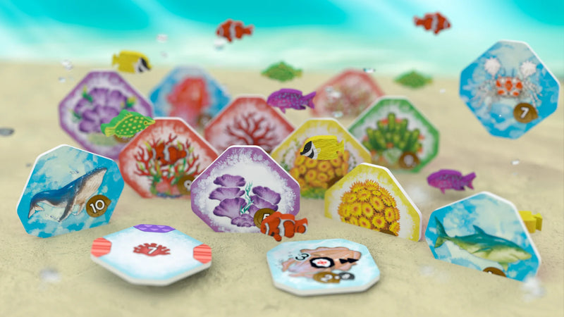Shallow Sea