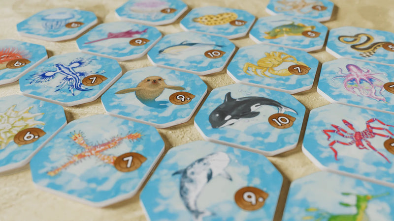 Shallow Sea: Nesting Season