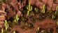 GamersGrass Basing Bits Saguaro Cacti