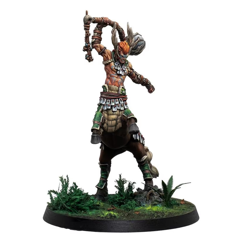 Eachann, the Great Centaurelf