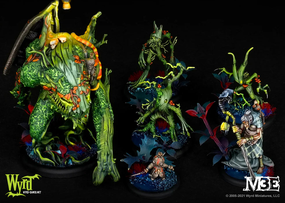 Malifaux 3rd Edition: Zoraida Core Box