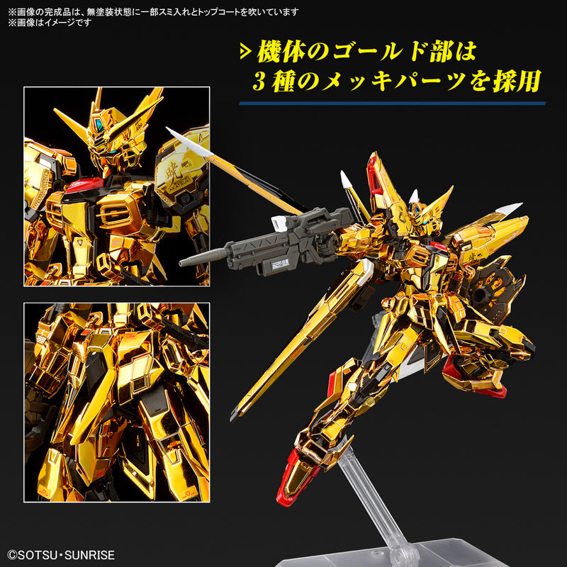 RG Akatsuki Gundam Oowashi Unit