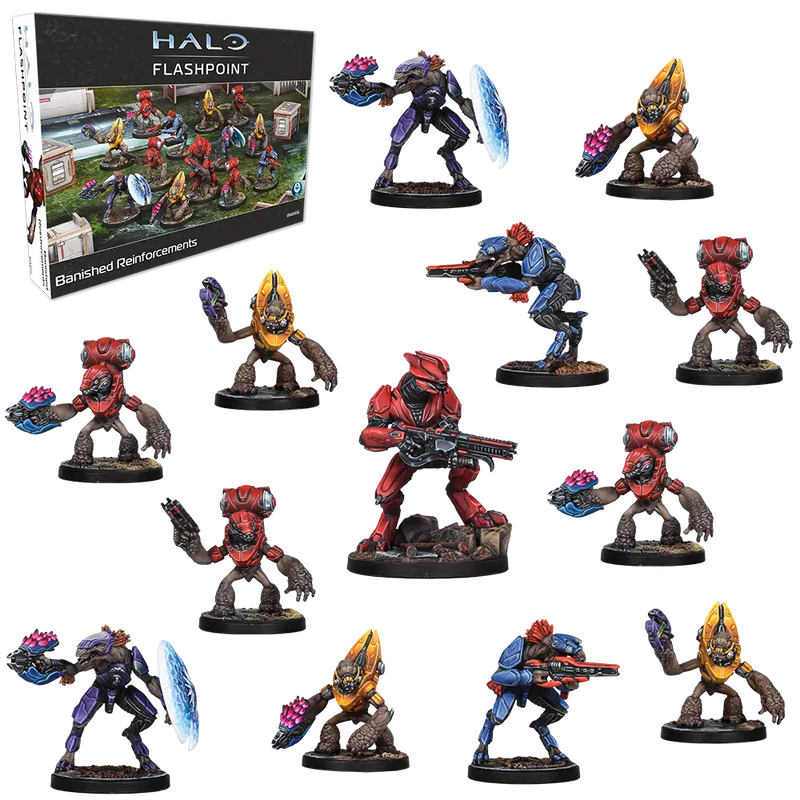 Halo: Flashpoint - Banished Reinforcements