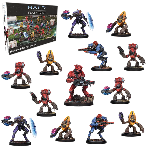 Halo: Flashpoint - Banished Reinforcements