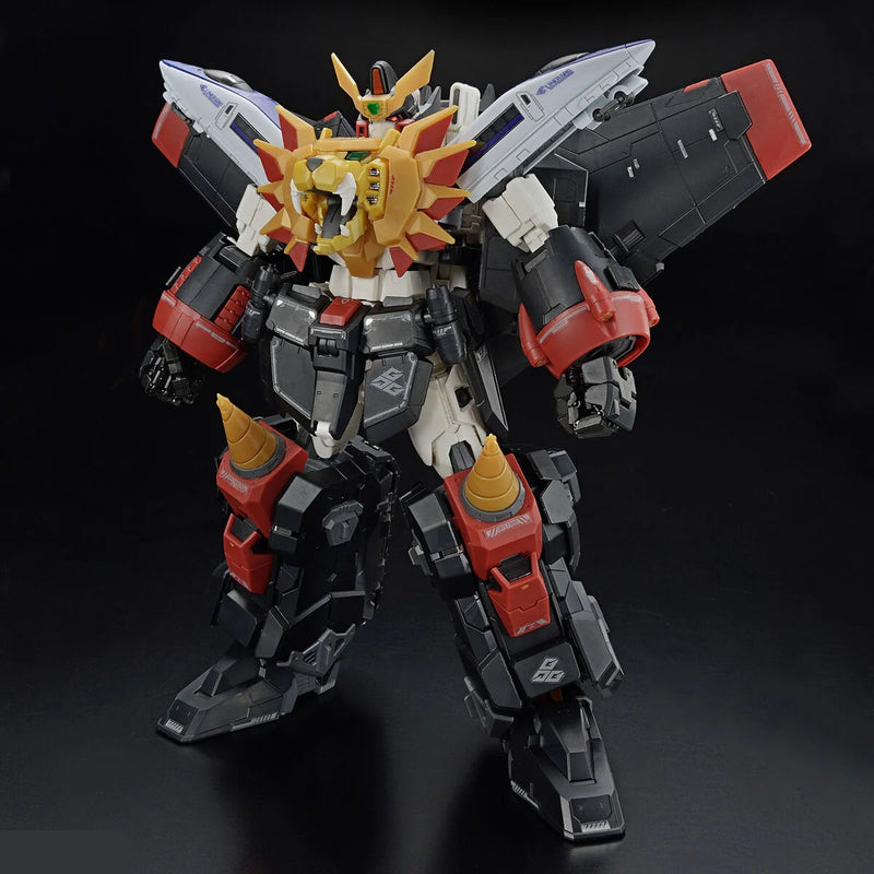 RG Gaogaigar