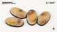 GamersGrass Deserts of Maahl Bases - x4 Oval 60mm