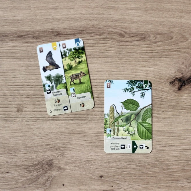 Forest Shuffle: Woodland Edge