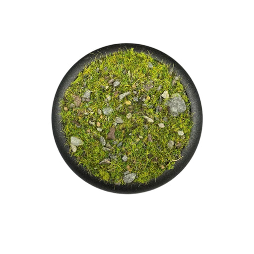 Krautcover - Meadows of Purity Basecover