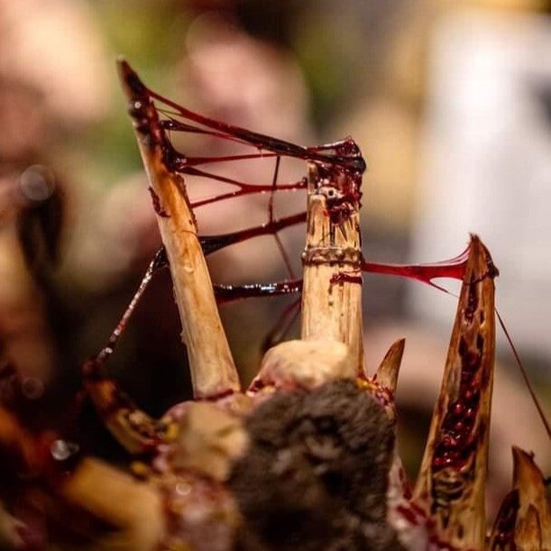 Dirty Down - Snot 15ml