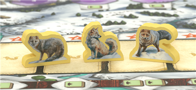 The Fox Experiment