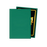 Dragon Shield Standard Sleeves - Classic - Green (100 Sleeves)