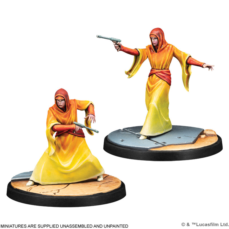 Shatterpoint: We are Brave: Queen Padme Amidala Squad Pack