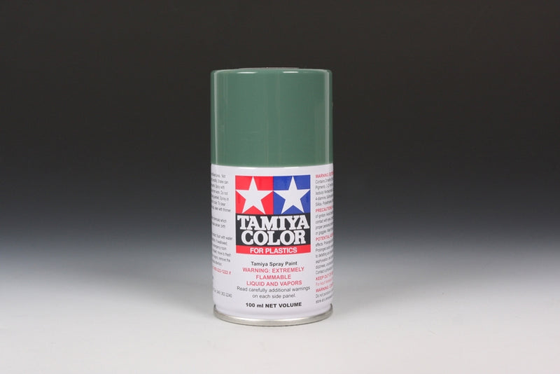 TS-78 Field Gray Spray Paint