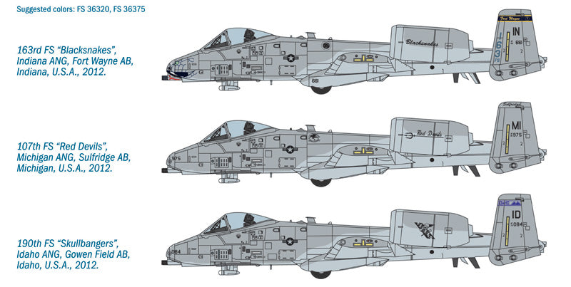 A-10C ''Blacksnakes''
