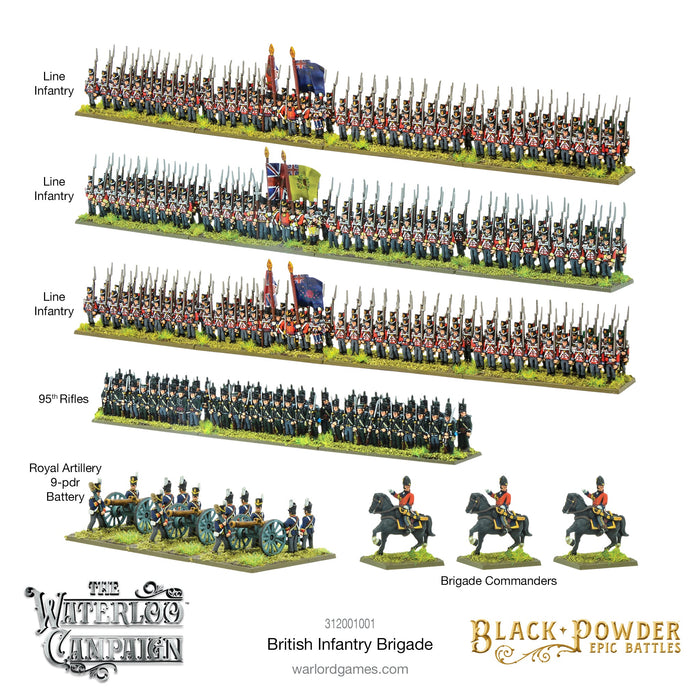 Black Powder: Waterloo Campaign - British Infantry Brigade