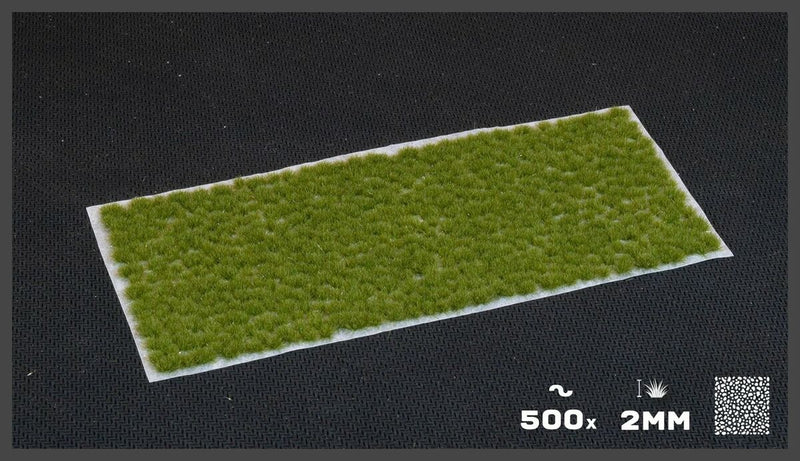 GamersGrass Static Grass Tufts - Tiny Dry Green Shrubs 2mm - Tiny
