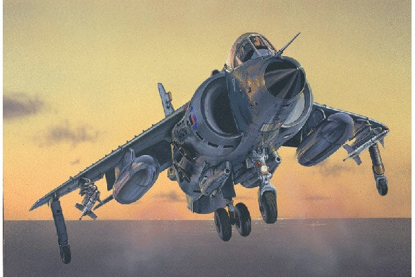 FRS.1 Sea Harrier
