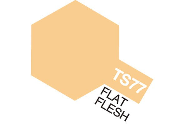 TS-77 Flat Flesh Spray Paint
